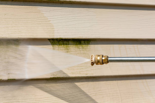 Best Pressure Washing Patio  in Tucson Estates, AZ